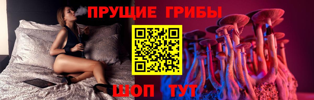 Псилоцибиновые грибы GOLDEN TEACHER Выкса