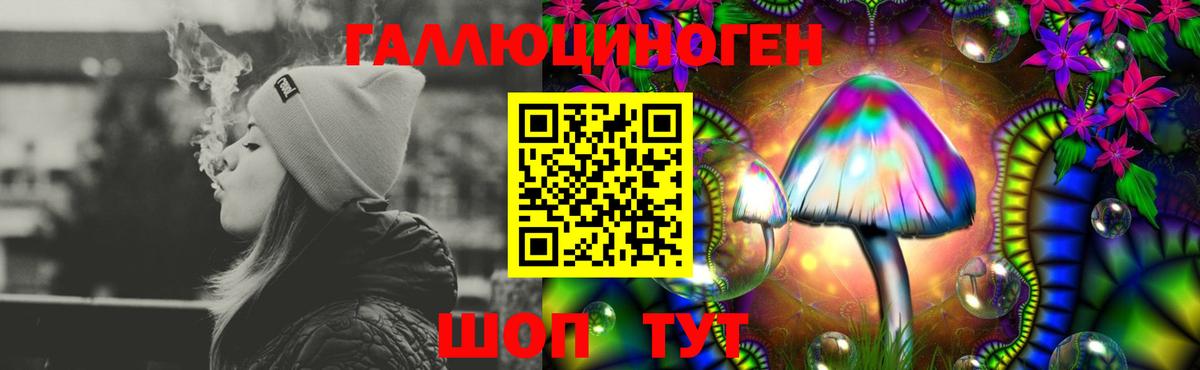 Псилоцибиновые грибы Magic Shrooms  Галлюциногенные грибы мицелий  Выкса  Вход с VPN 